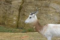 Cjp_2009_04_14_131111 (1).jpg